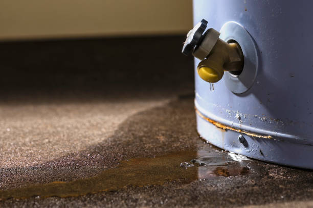 Best Professional water damage repair  in Spring Lake, NC