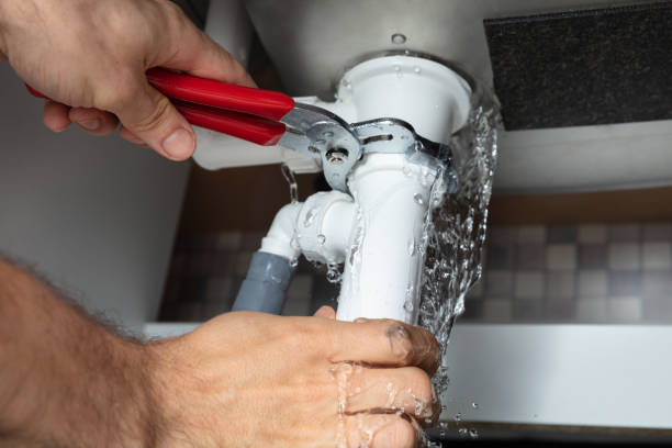 Best Mold removal after water damage  in Spring Lake, NC