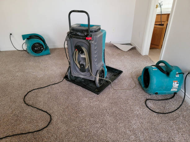 Best Water damage contractors near me  in Spring Lake, NC