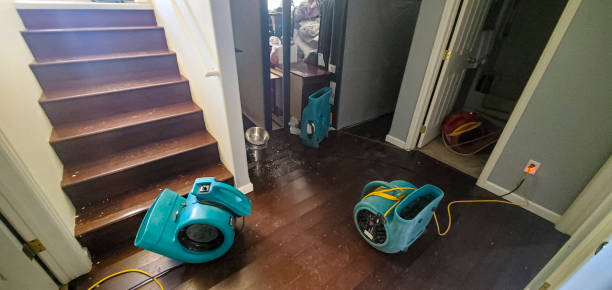 Best Flood restoration services  in Spring Lake, NC