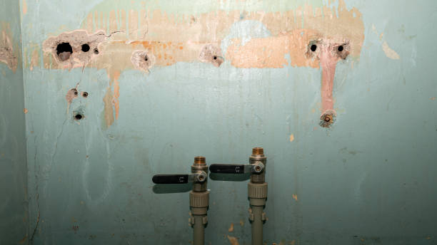 Best Fire Damage Restoration  in Spring Lake, NC